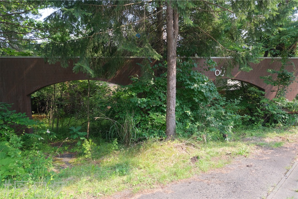 f:id:hiyapa:20240728204917j:image