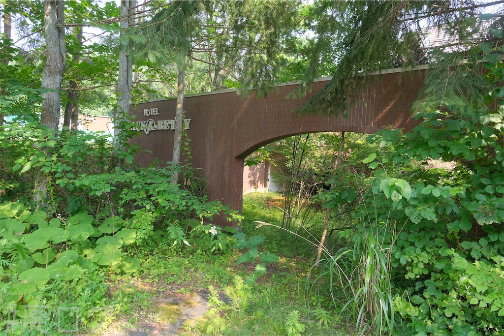 f:id:hiyapa:20240728204939j:image