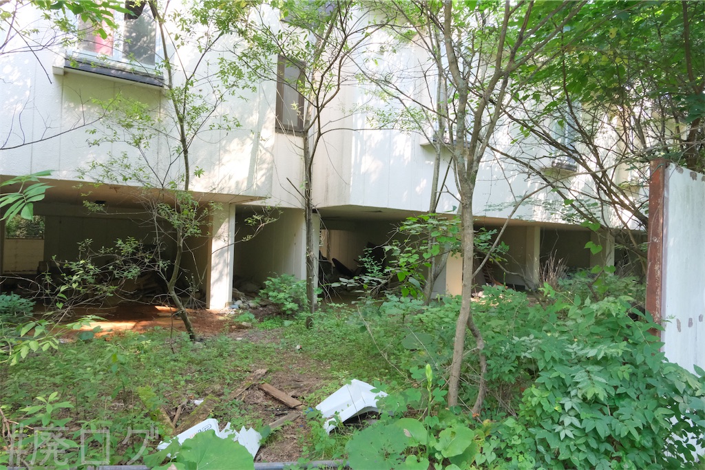 f:id:hiyapa:20240728204944j:image