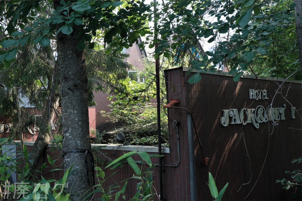 f:id:hiyapa:20240728210118j:image