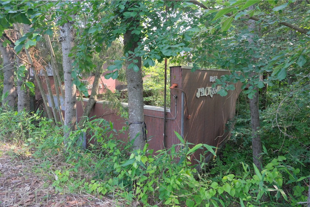 f:id:hiyapa:20240728210122j:image