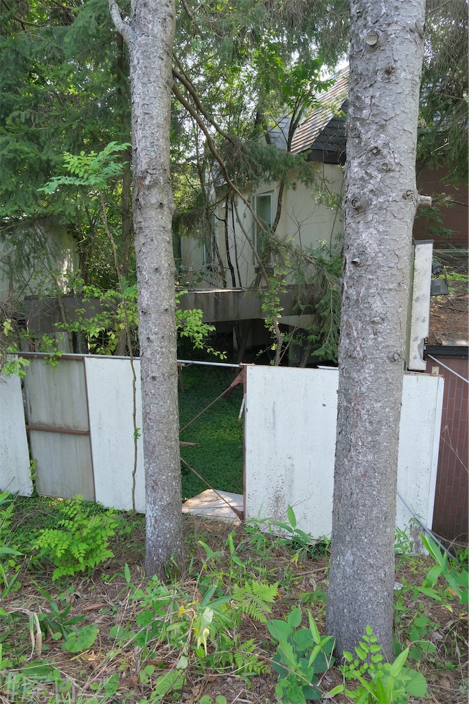 f:id:hiyapa:20240728210127j:image