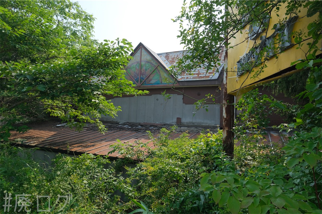 f:id:hiyapa:20240728210135j:image