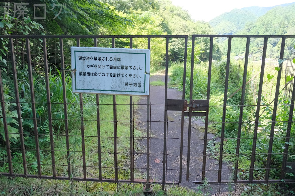 f:id:hiyapa:20241002151531j:image