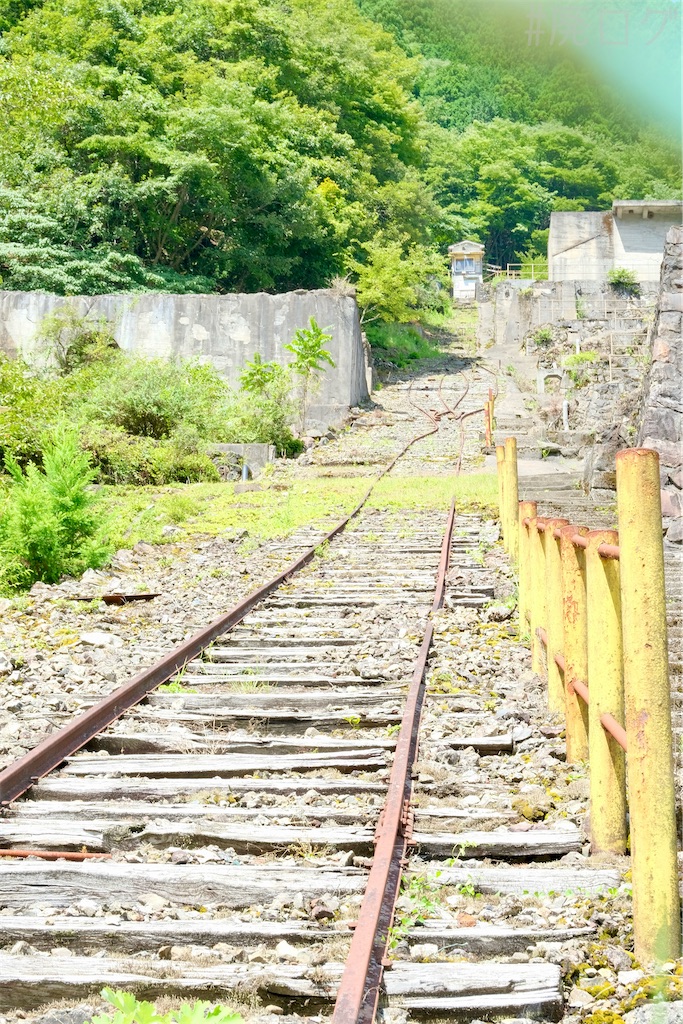 f:id:hiyapa:20241002152945j:image