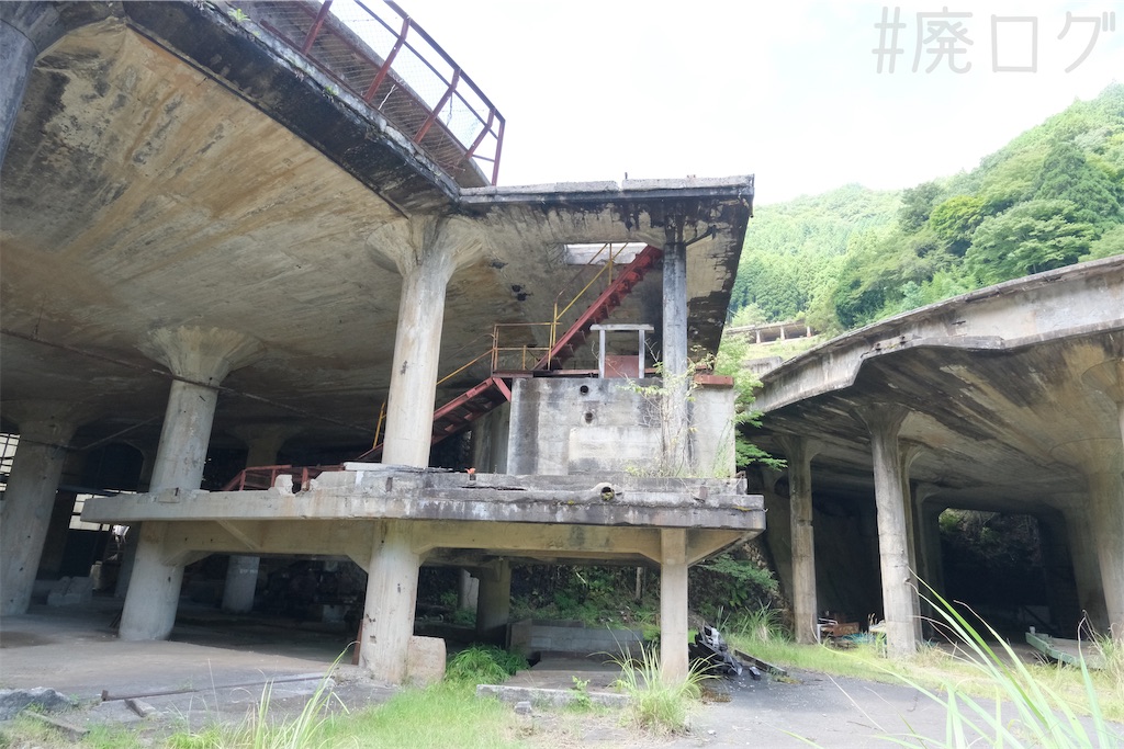 f:id:hiyapa:20241002155932j:image