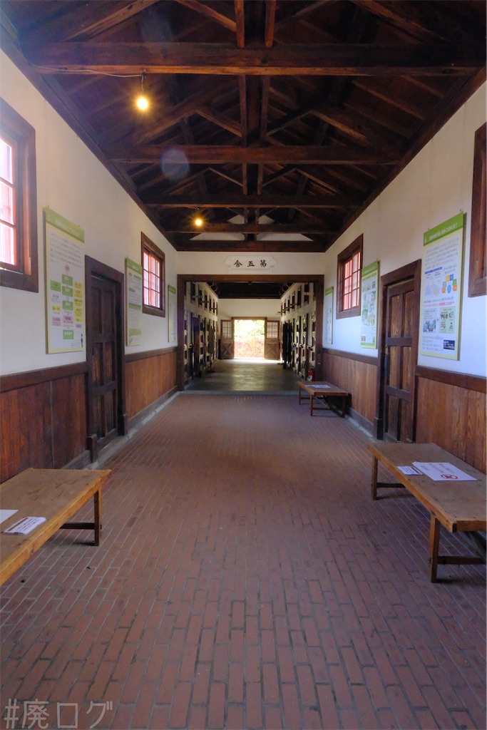 f:id:hiyapa:20250122161704j:image