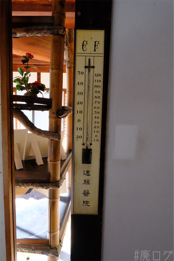 f:id:hiyapa:20250122182402j:image