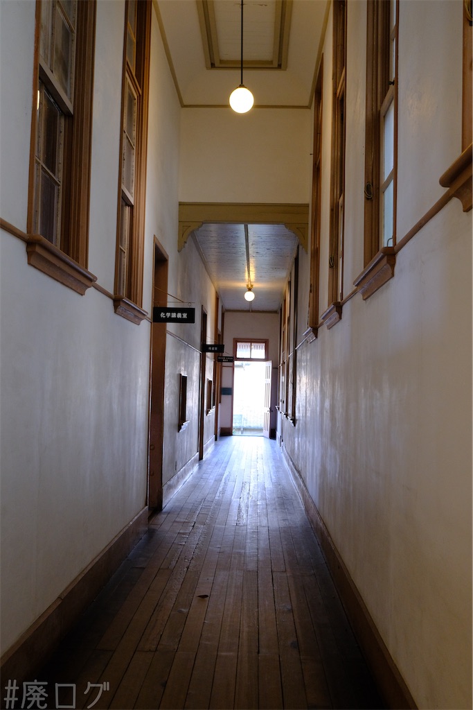 f:id:hiyapa:20250122182909j:image