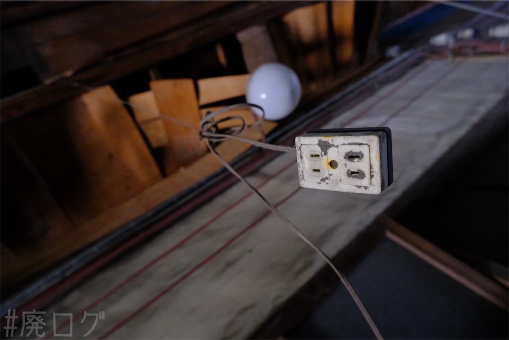 f:id:hiyapa:20250227102525j:image f:id:hiyapa:20250227102525j:image