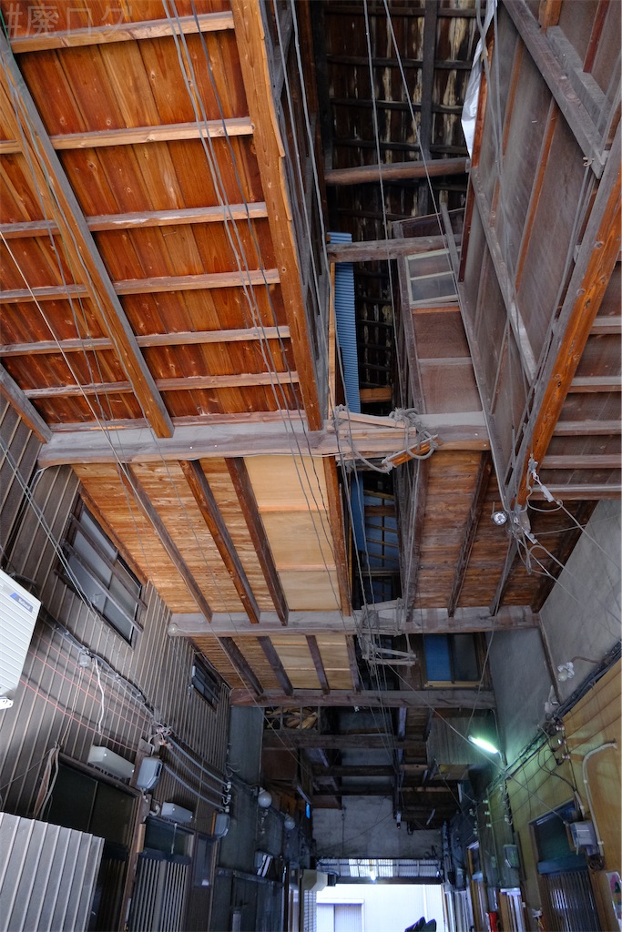 f:id:hiyapa:20250227102534j:image f:id:hiyapa:20250227102534j:image