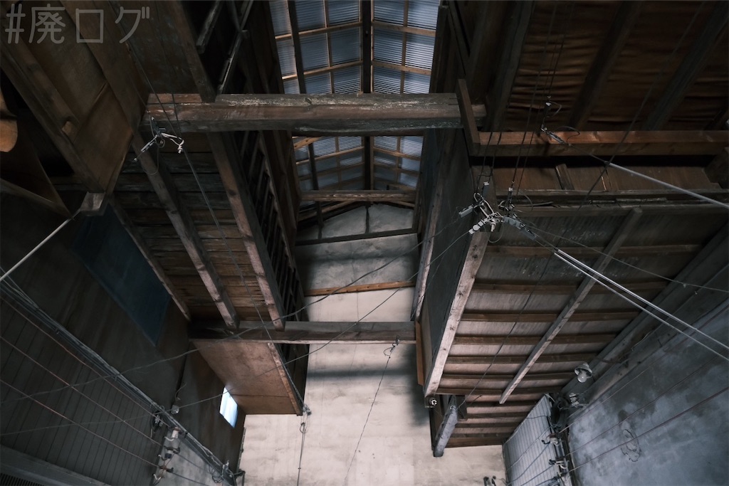 f:id:hiyapa:20250227102545j:image f:id:hiyapa:20250227102545j:image