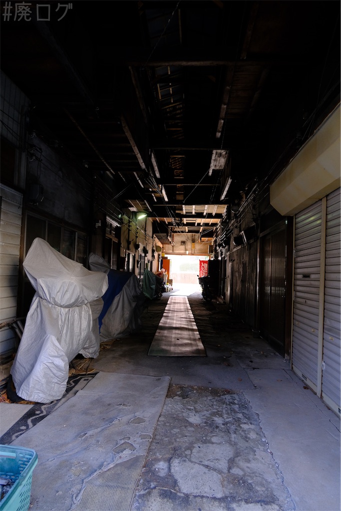 f:id:hiyapa:20250227102555j:image f:id:hiyapa:20250227102555j:image