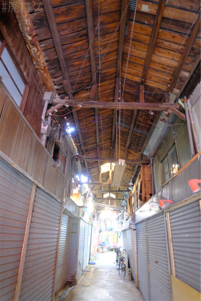 f:id:hiyapa:20250227121907j:image f:id:hiyapa:20250227121907j:image