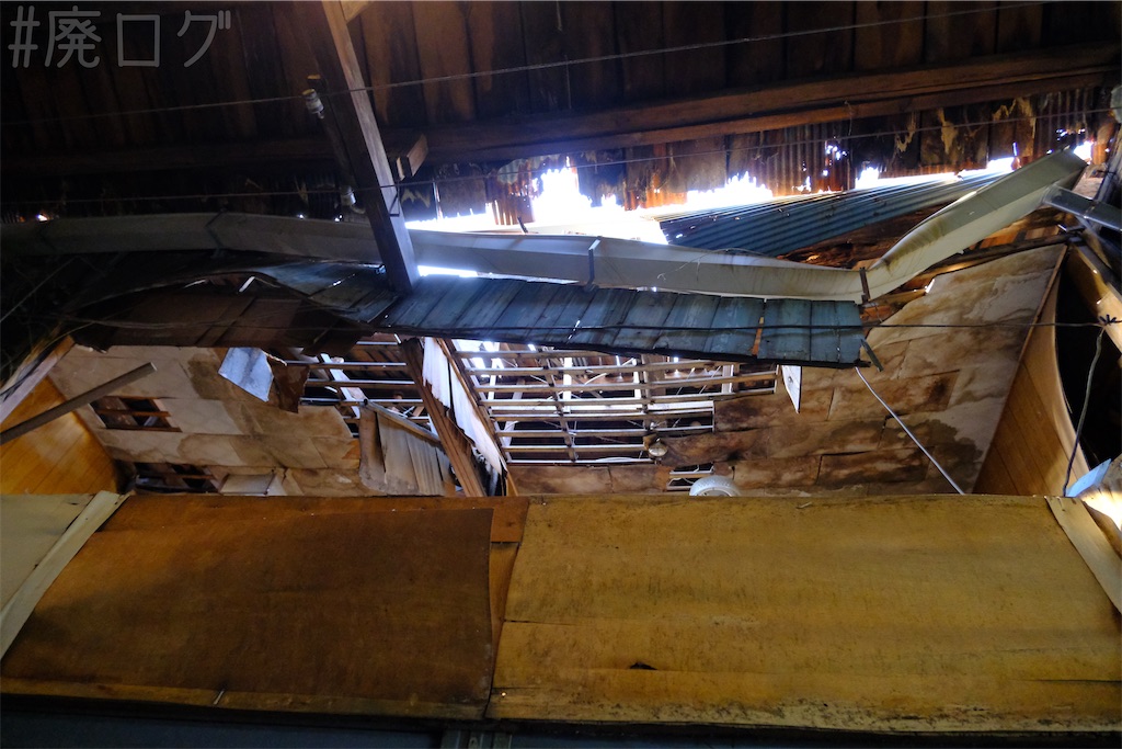 f:id:hiyapa:20250227121912j:image f:id:hiyapa:20250227121912j:image