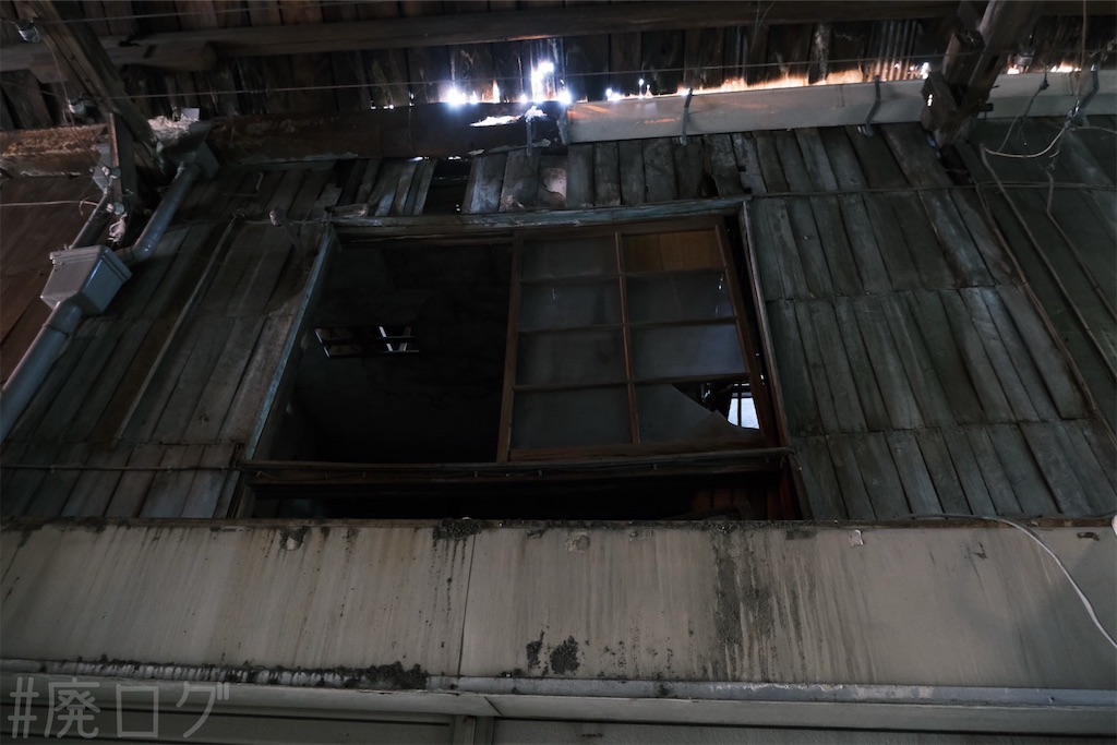 f:id:hiyapa:20250227121916j:image f:id:hiyapa:20250227121916j:image