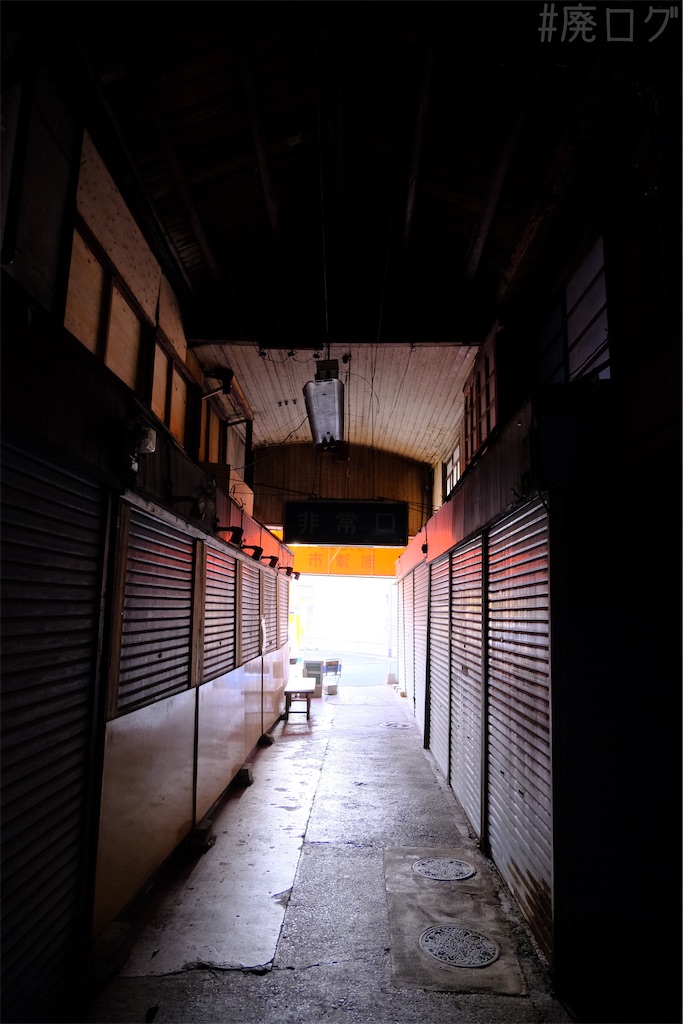 f:id:hiyapa:20250227121924j:image f:id:hiyapa:20250227121924j:image