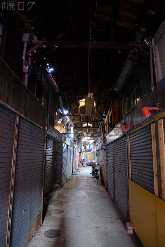 f:id:hiyapa:20250227121929j:image f:id:hiyapa:20250227121929j:image