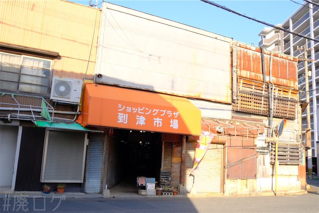 f:id:hiyapa:20250227122150j:image f:id:hiyapa:20250227122150j:image