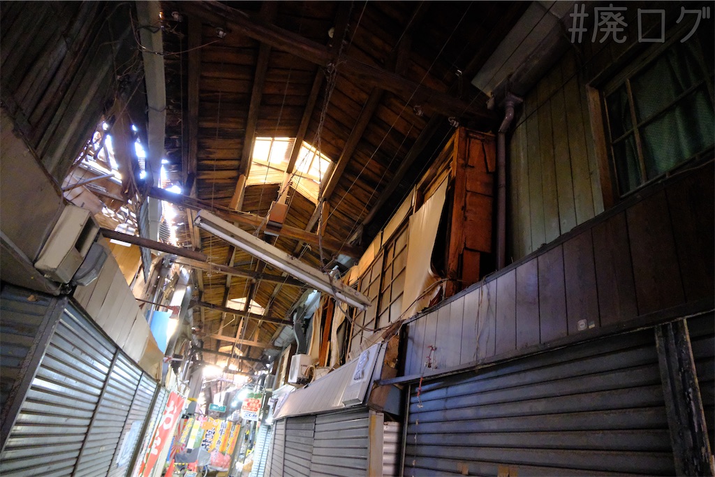 f:id:hiyapa:20250227122316j:image f:id:hiyapa:20250227122316j:image