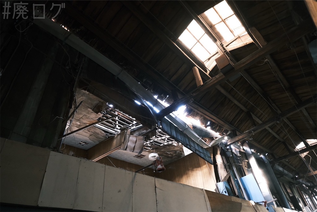 f:id:hiyapa:20250227122340j:image f:id:hiyapa:20250227122340j:image