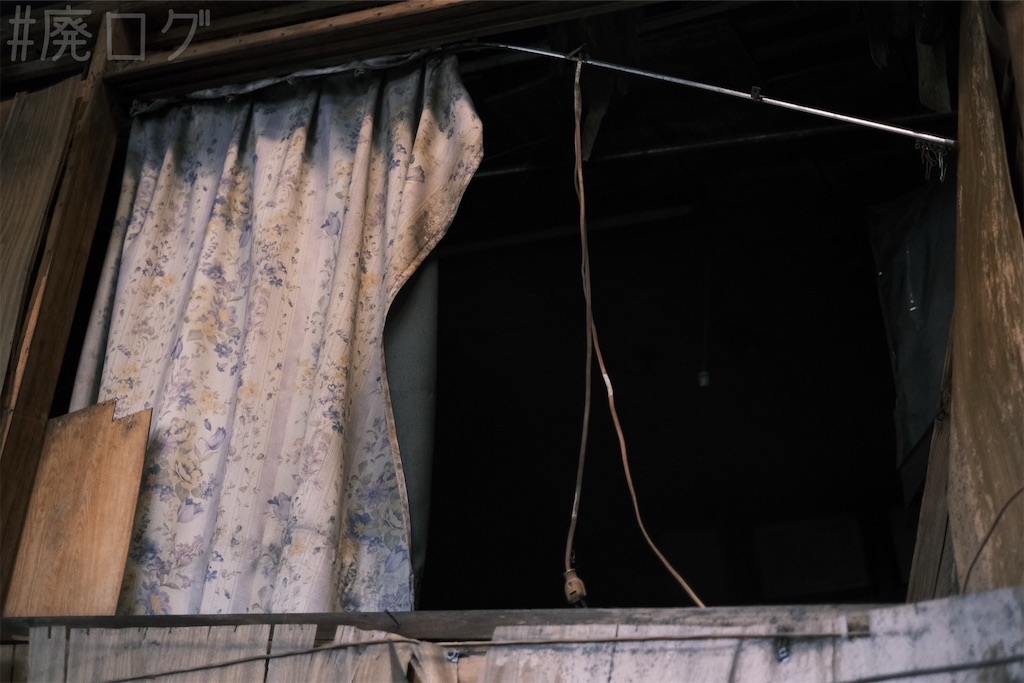 f:id:hiyapa:20250227122344j:image f:id:hiyapa:20250227122344j:image