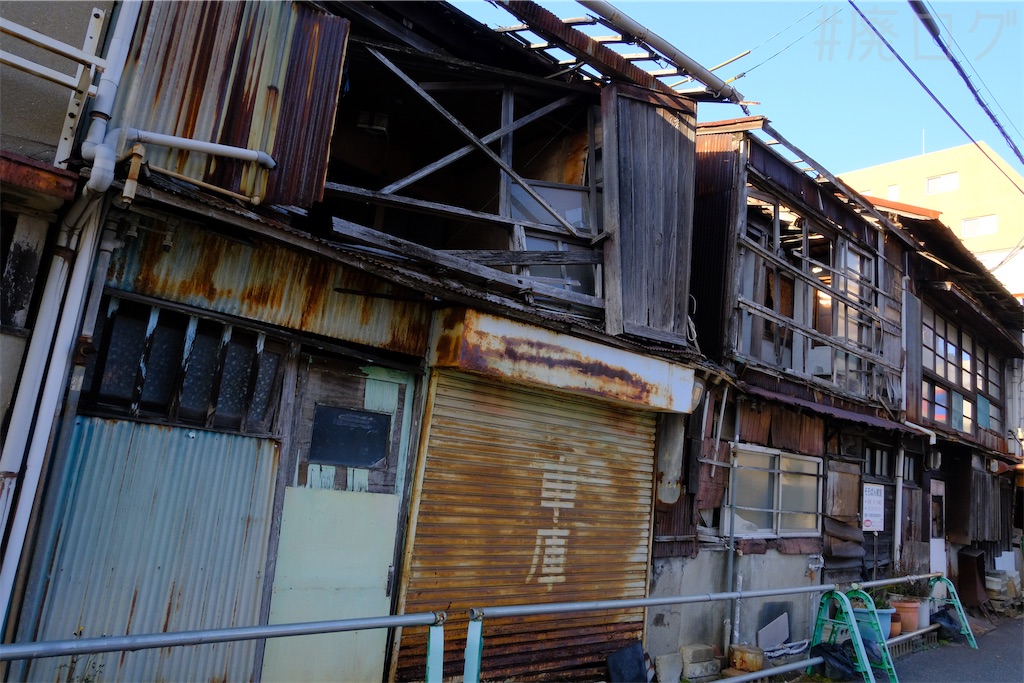 f:id:hiyapa:20250227192056j:image f:id:hiyapa:20250227192056j:image