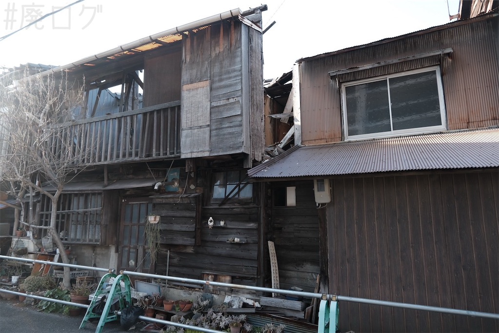 f:id:hiyapa:20250227192112j:image f:id:hiyapa:20250227192112j:image