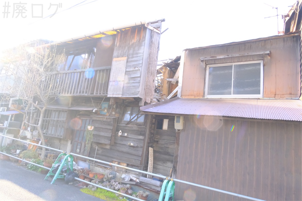 f:id:hiyapa:20250227192121j:image f:id:hiyapa:20250227192121j:image