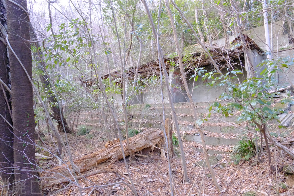 f:id:hiyapa:20250323101613j:image f:id:hiyapa:20250323101613j:image