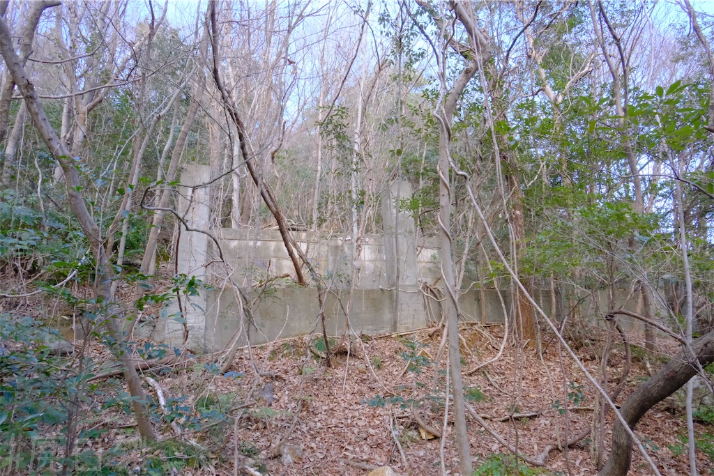 f:id:hiyapa:20250323101625j:image f:id:hiyapa:20250323101625j:image