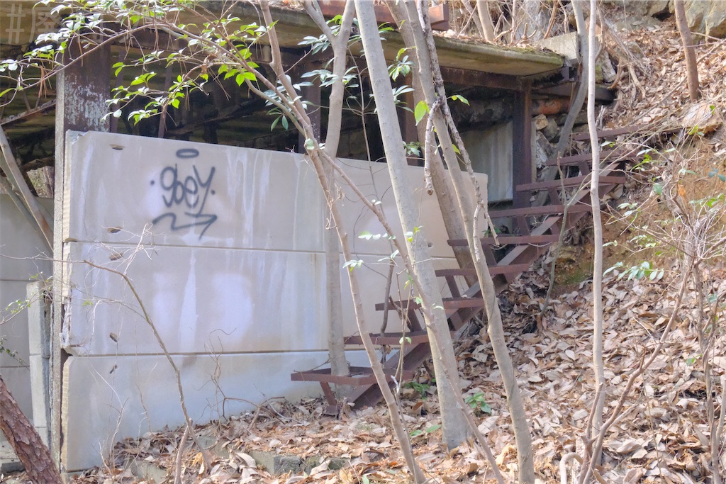 f:id:hiyapa:20250323101631j:image f:id:hiyapa:20250323101631j:image