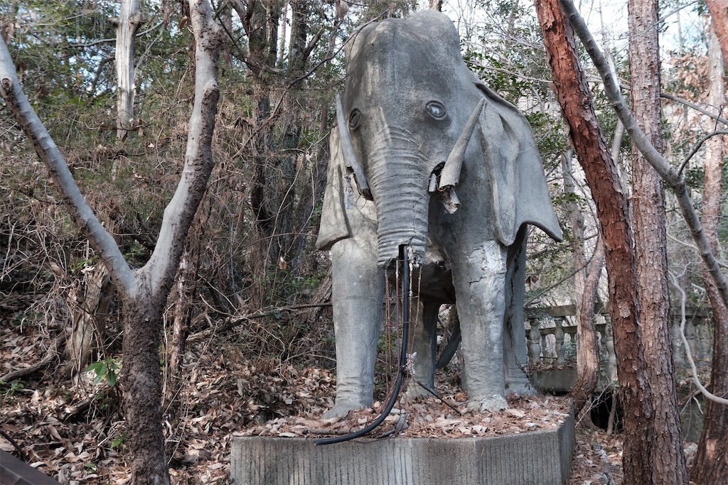 f:id:hiyapa:20250323103648j:image f:id:hiyapa:20250323103648j:image