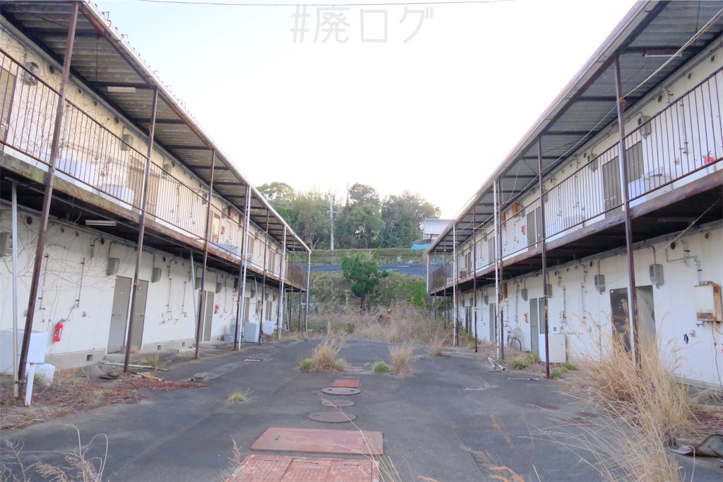 f:id:hiyapa:20250412140654j:image