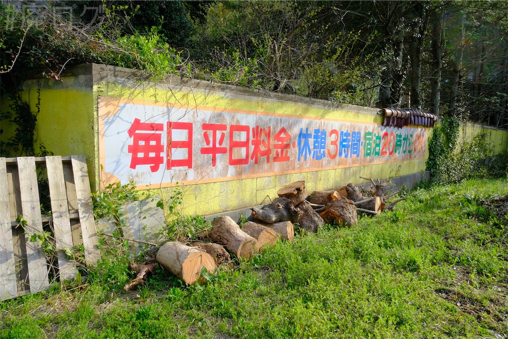 f:id:hiyapa:20250430142319j:image f:id:hiyapa:20250430142319j:image