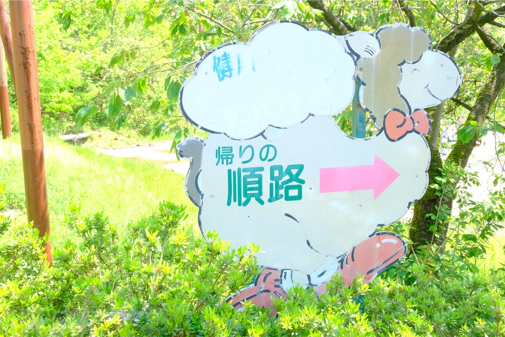 f:id:hiyapa:20250514111014j:image