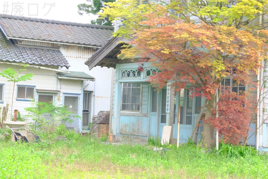 f:id:hiyapa:20250521130733j:image