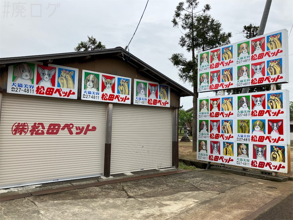 f:id:hiyapa:20250608094101j:image