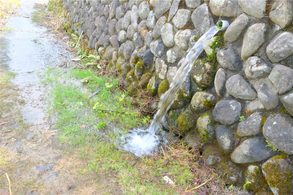 f:id:hiyapa:20250621111319j:image f:id:hiyapa:20250621111319j:image