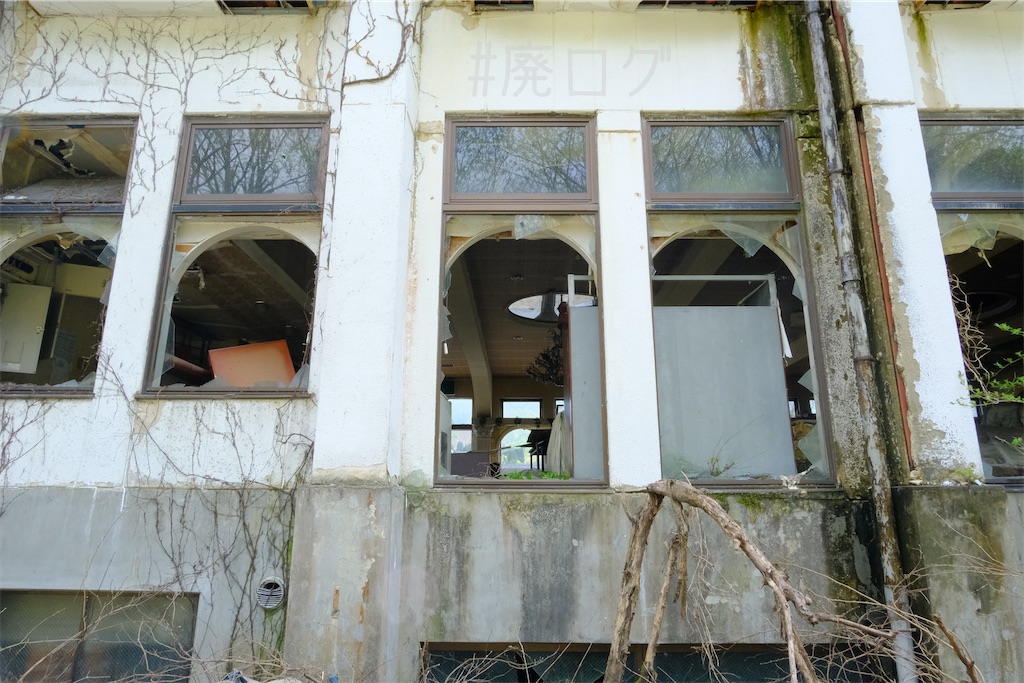f:id:hiyapa:20250625140132j:image
