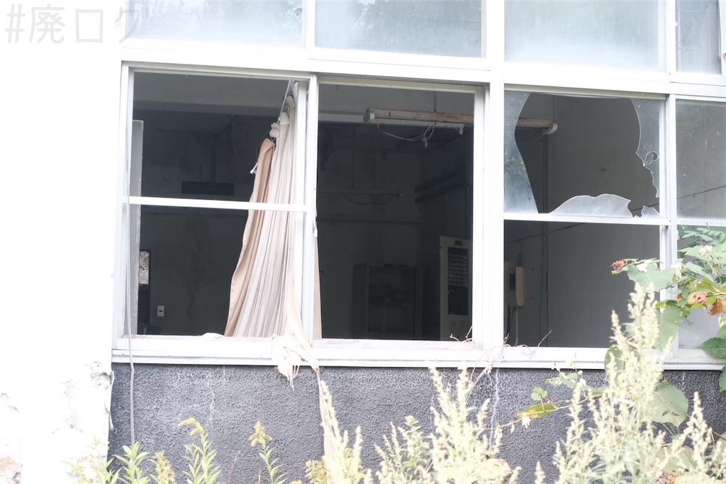 f:id:hiyapa:20251108194510j:image f:id:hiyapa:20251108194510j:image