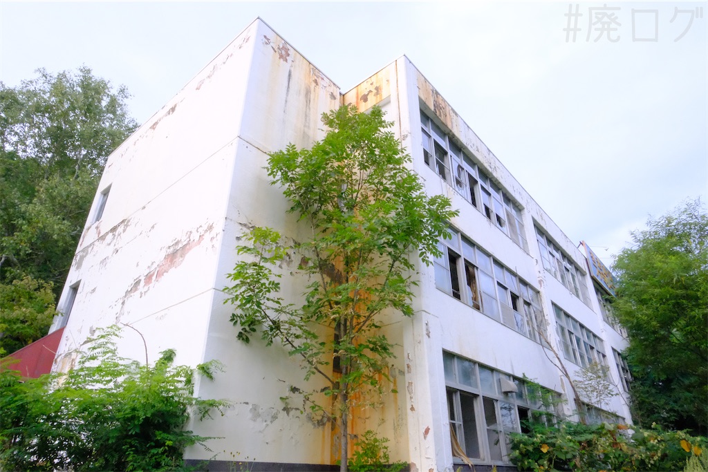 f:id:hiyapa:20251108194525j:image f:id:hiyapa:20251108194525j:image