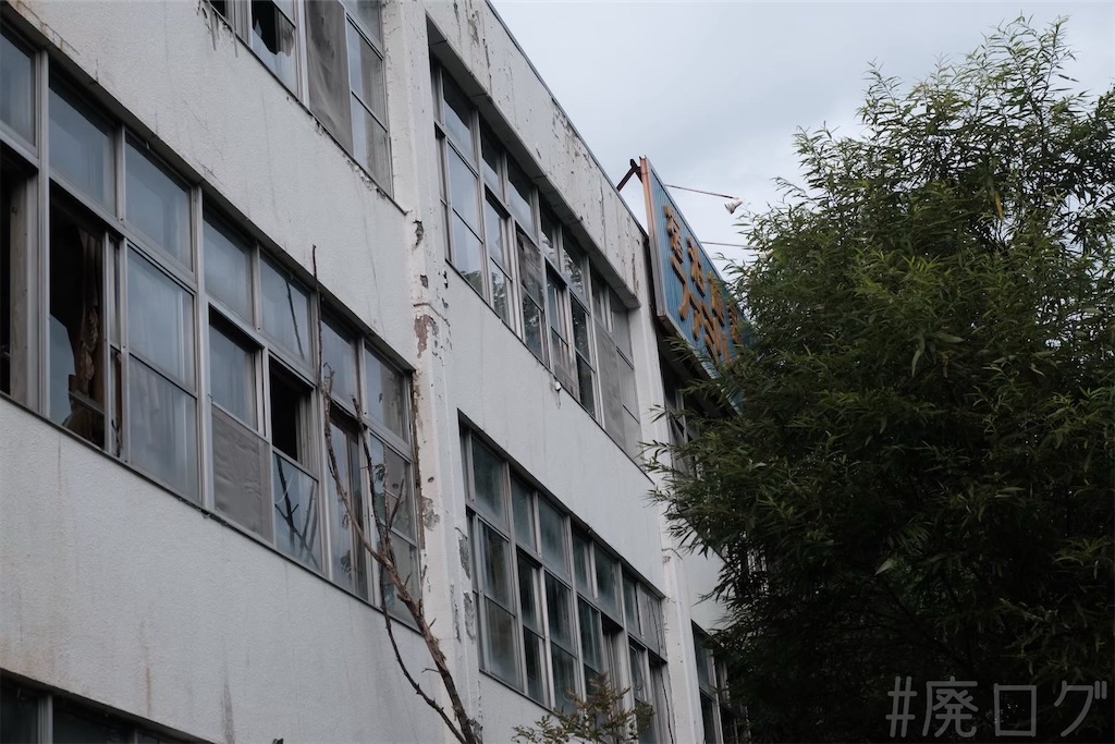 f:id:hiyapa:20251108194528j:image f:id:hiyapa:20251108194528j:image