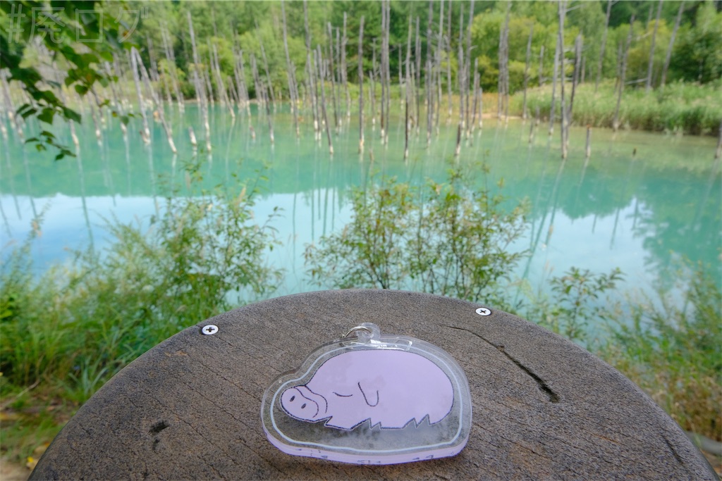 f:id:hiyapa:20251109101200j:image f:id:hiyapa:20251109101200j:image