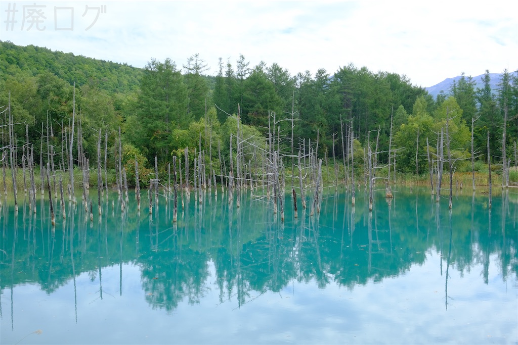 f:id:hiyapa:20251109101204j:image f:id:hiyapa:20251109101204j:image