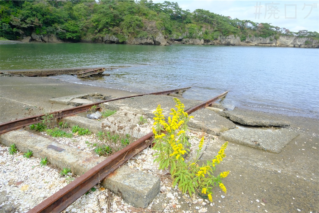 f:id:hiyapa:20251122125754j:image f:id:hiyapa:20251122125754j:image