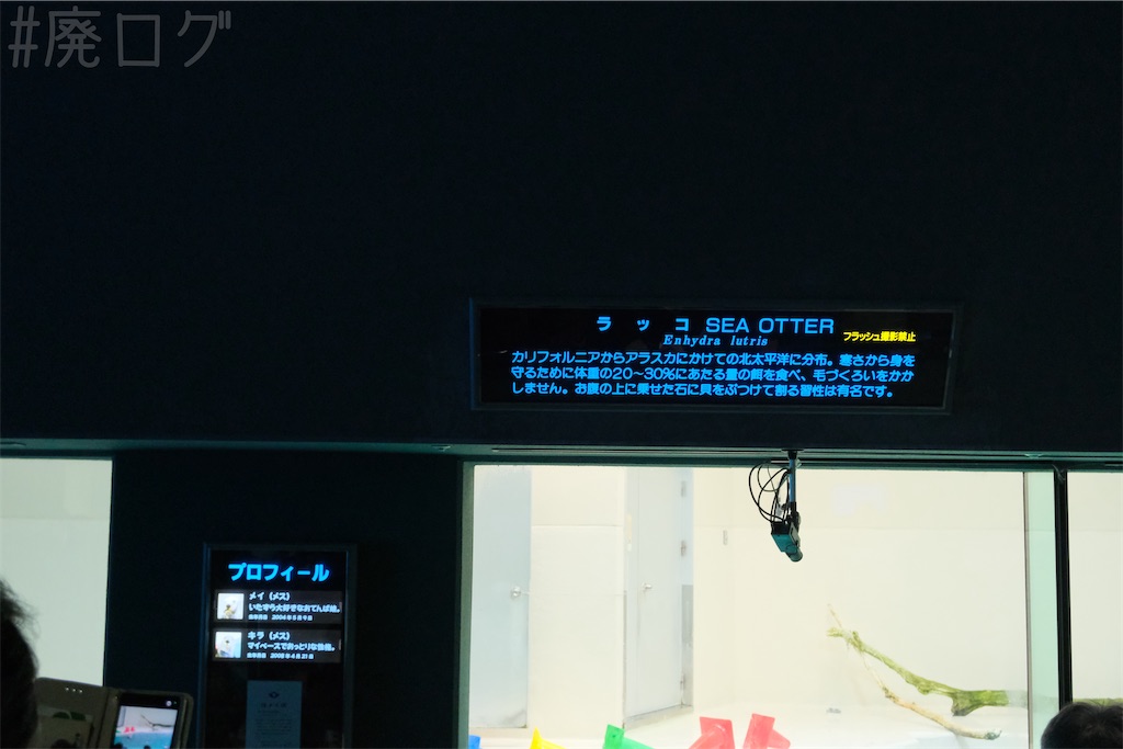 f:id:hiyapa:20251128153226j:image f:id:hiyapa:20251128153226j:image