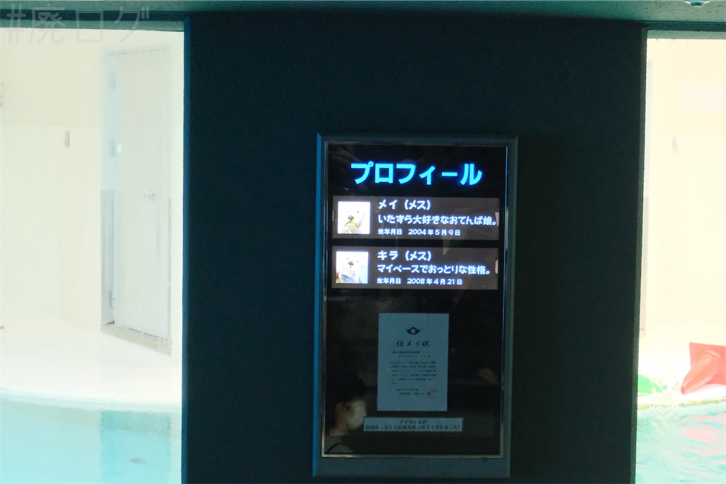 f:id:hiyapa:20251128153315j:image f:id:hiyapa:20251128153315j:image
