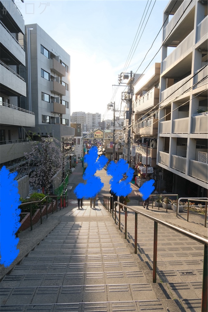 f:id:hiyapa:20260408222935j:image