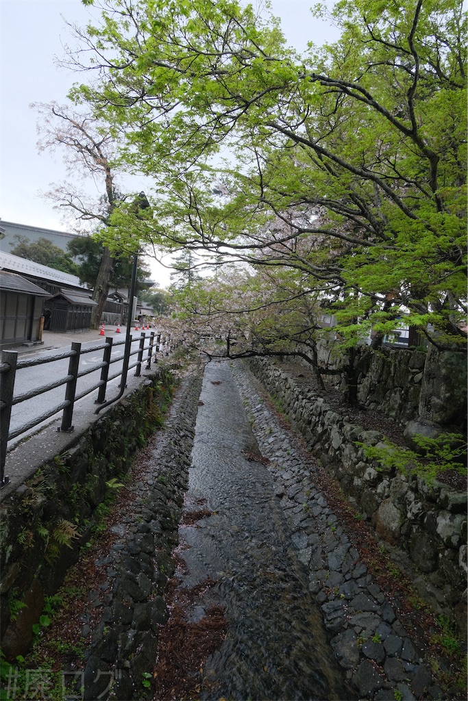 f:id:hiyapa:20260426094850j:image f:id:hiyapa:20260426094850j:image